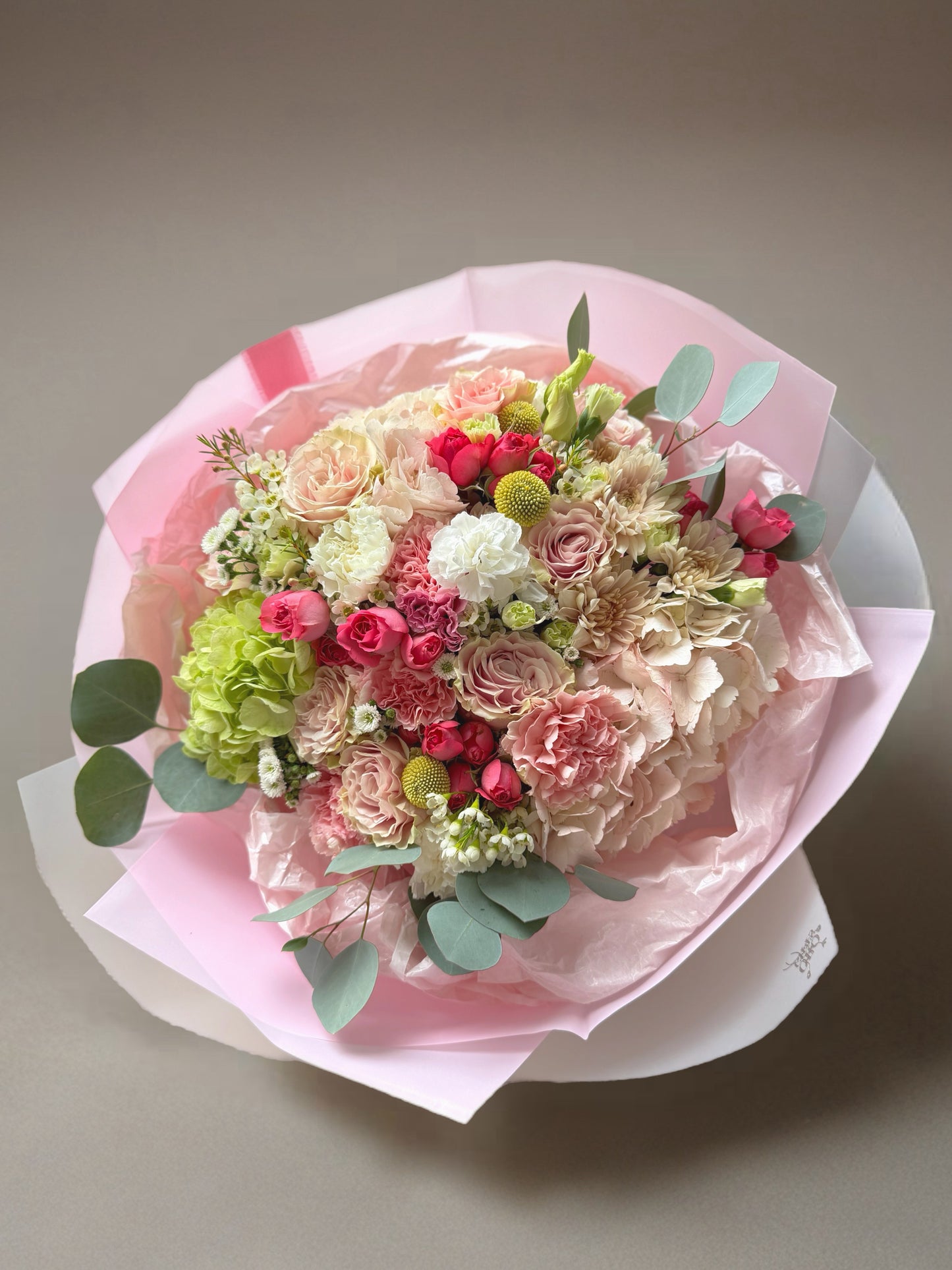 Rosy Whisper