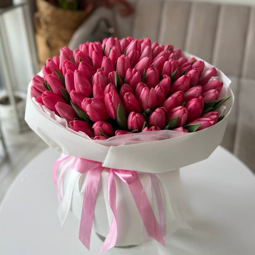 Pink Tulip Dream